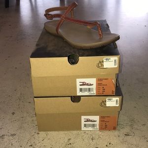 chaco rowan thong sandal